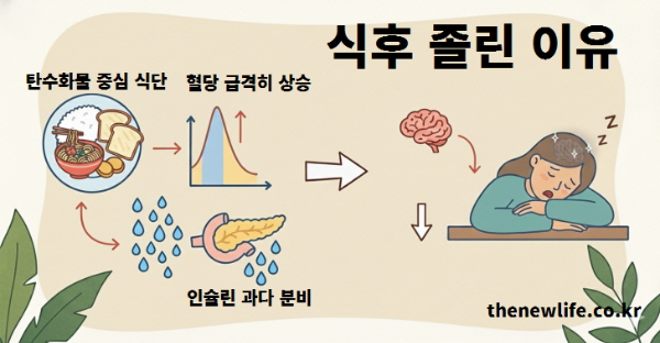 식후 졸린 이유 – 탄수화물 중심 식단으로 혈당이 급격히 상승하고 인슐린 과다 분비가 발생해 졸음이 생기는 과정