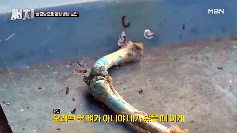 써치 8년간 천여마리 죽인 대전 신탄진 고양이 살해남의 정체