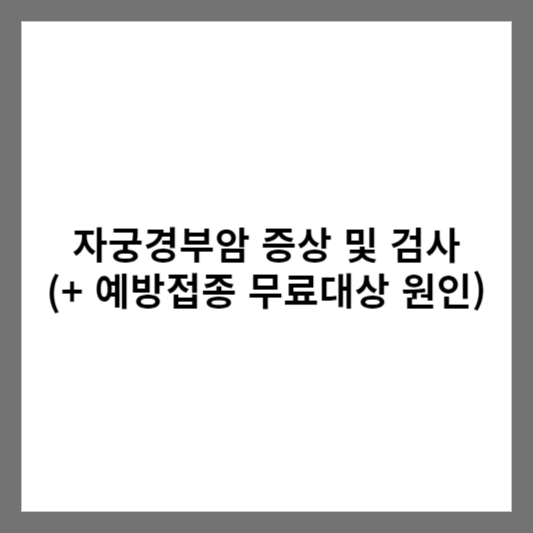 자궁경부암 증상 및 검사 (+ 예방접종 무료대상 원인)