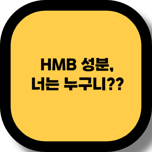 HMB 성분이란? 근손실 예방 효과와 하루 권장 섭취량 및 복용 타이밍 총정리