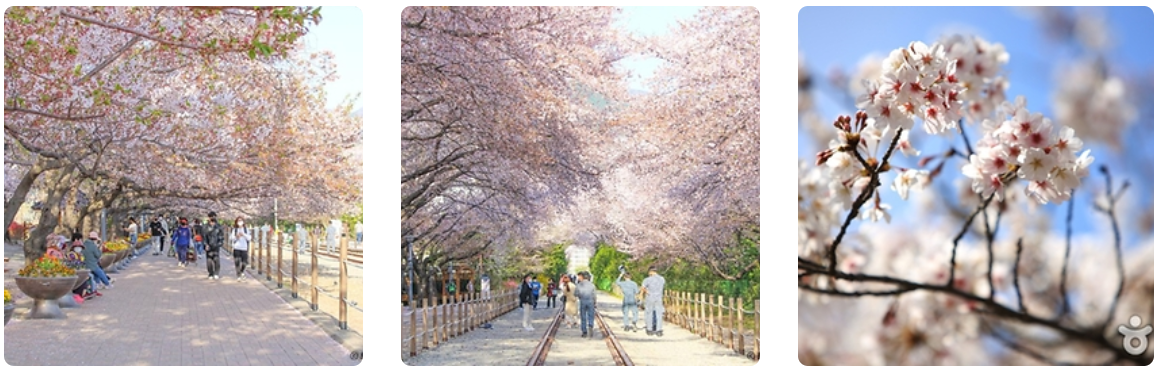 국내여행추천 07