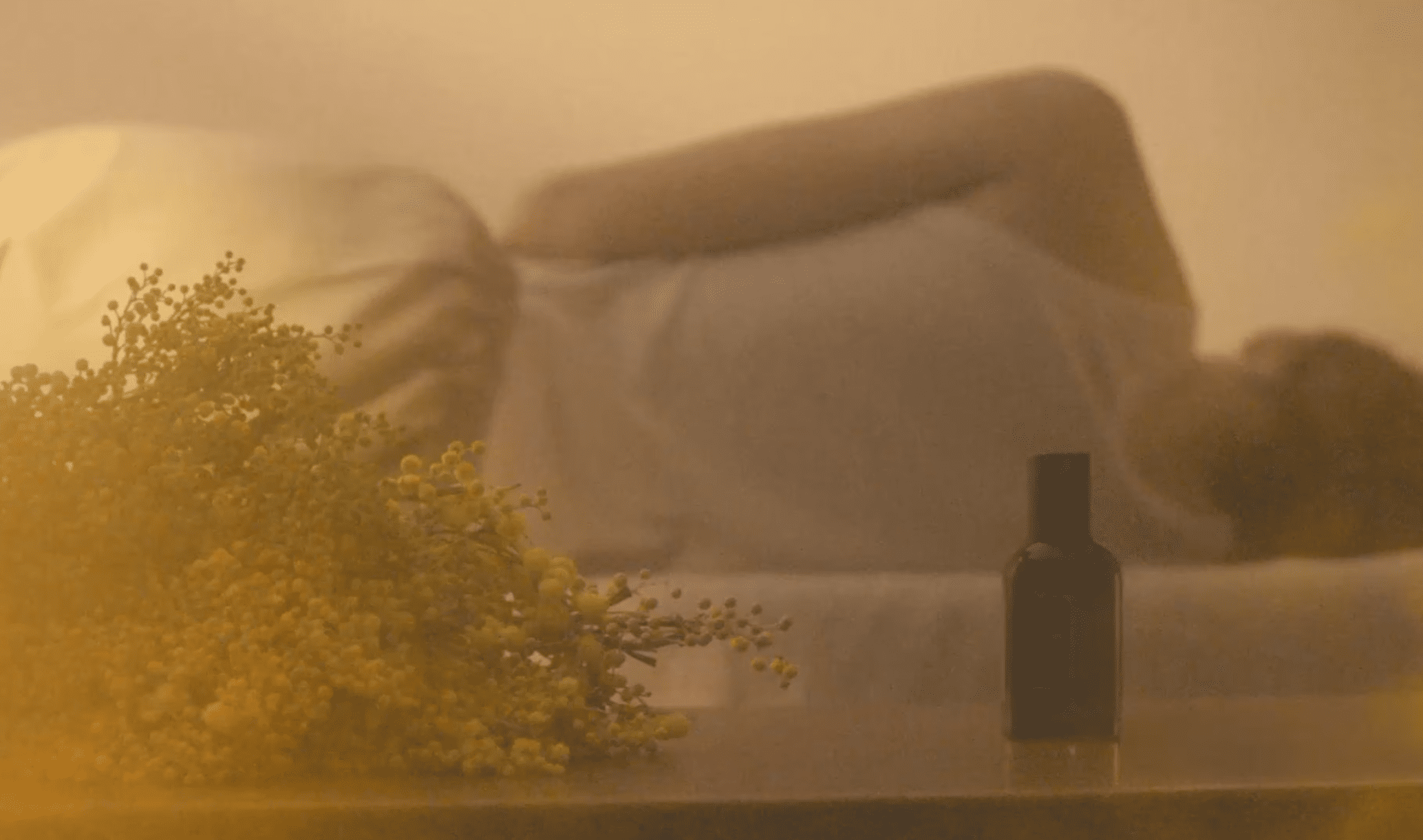 이솝 향수 글롬 오 드 퍼퓸 이미지 : 이솝홈페이지