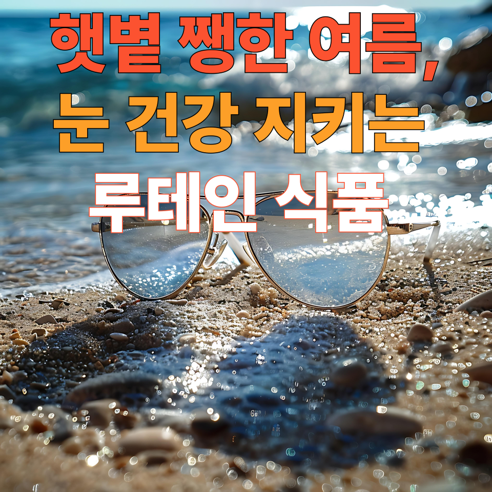 햇볕 쨍한 여름, 중장년 눈 건강 챙기는 루테인 식품 6가지