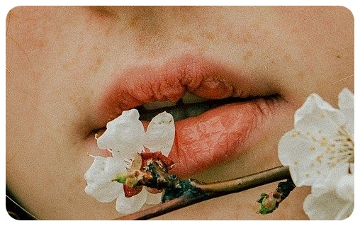 갈라진 입술