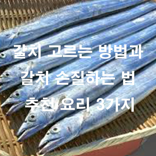 갈치 고르는 방법과 갈치 손질하는 법 추천 요리 3가지