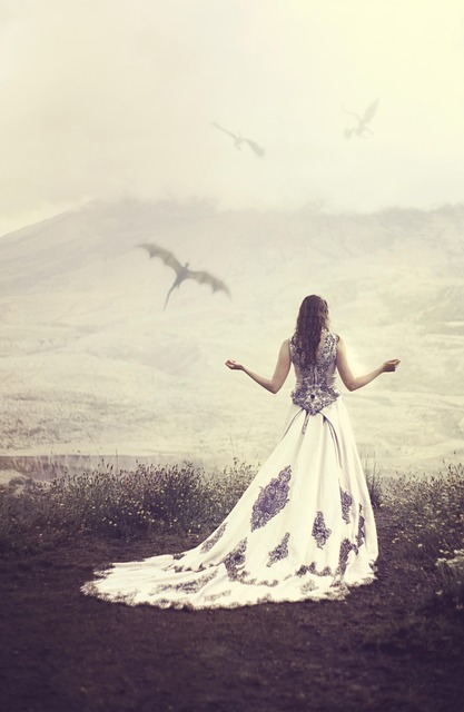 왕좌의 게임 : 불과 얼음의 노래