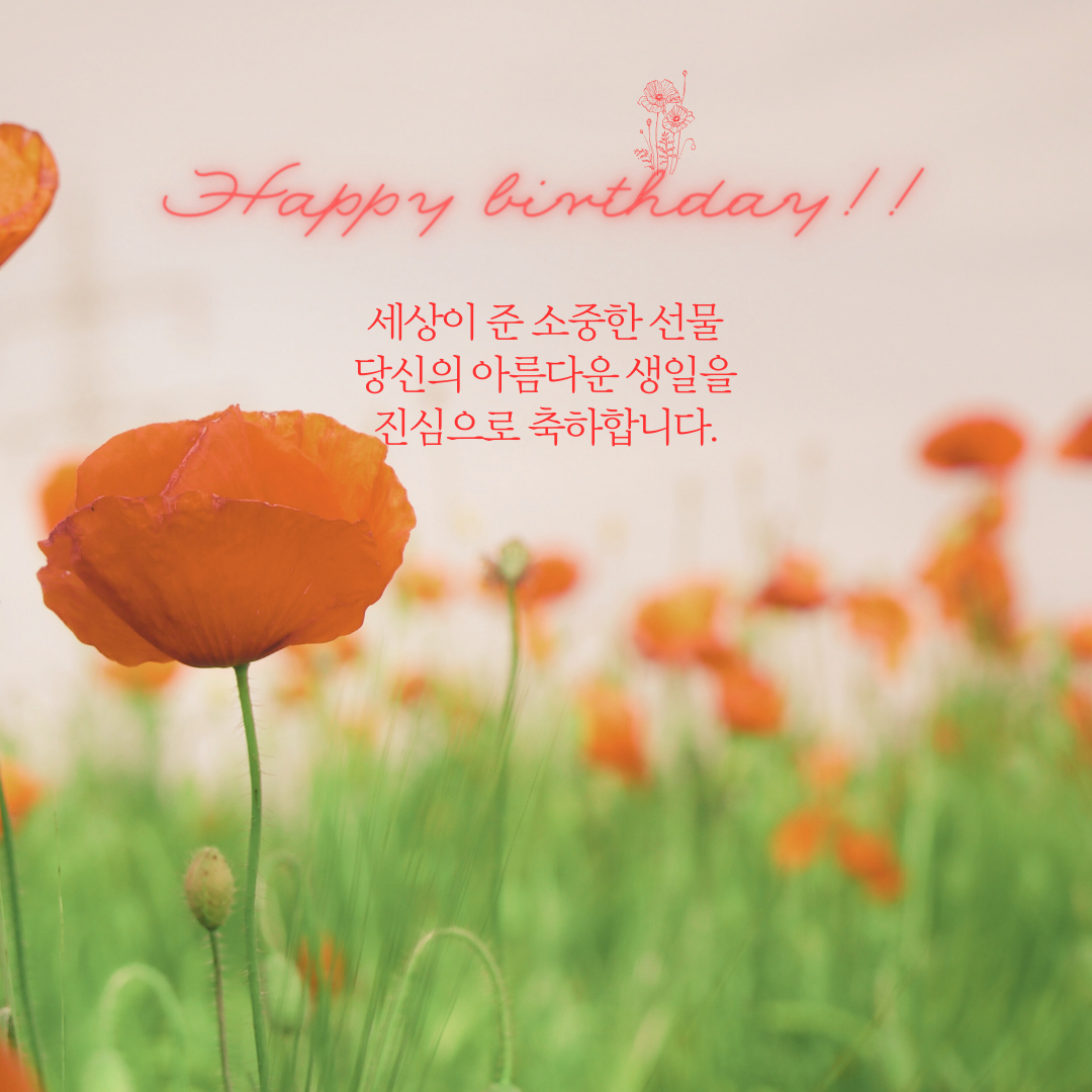 .생일 축하 메세지 꽃다말 이미지 모음