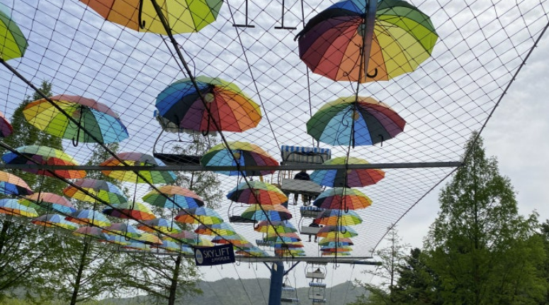 Alt 속성 문제 해결 설명 이미지