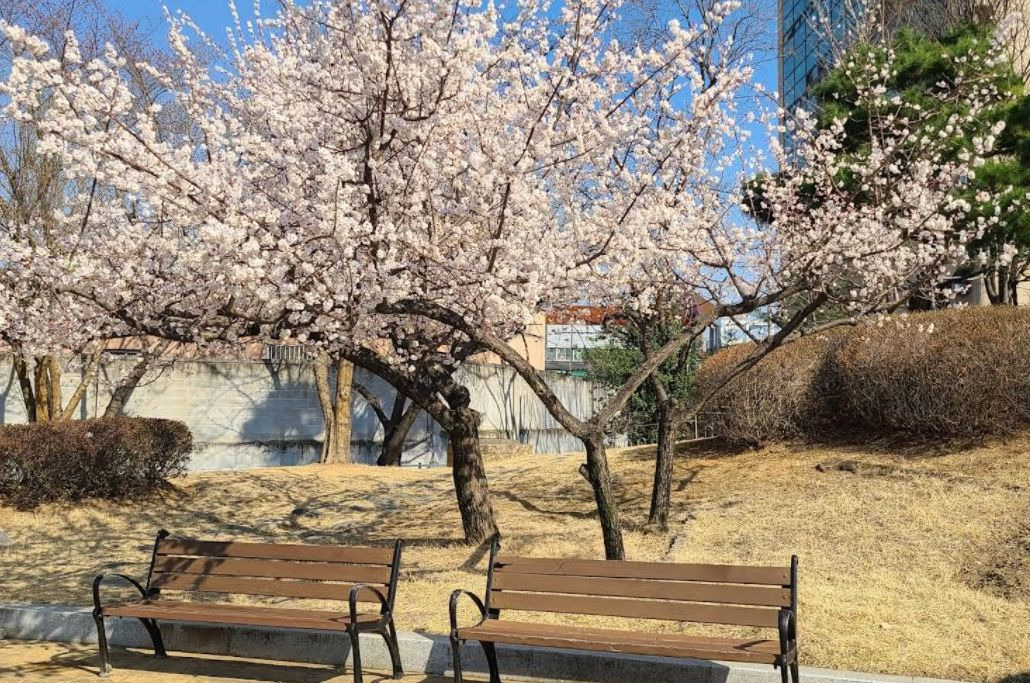 강변조각공원