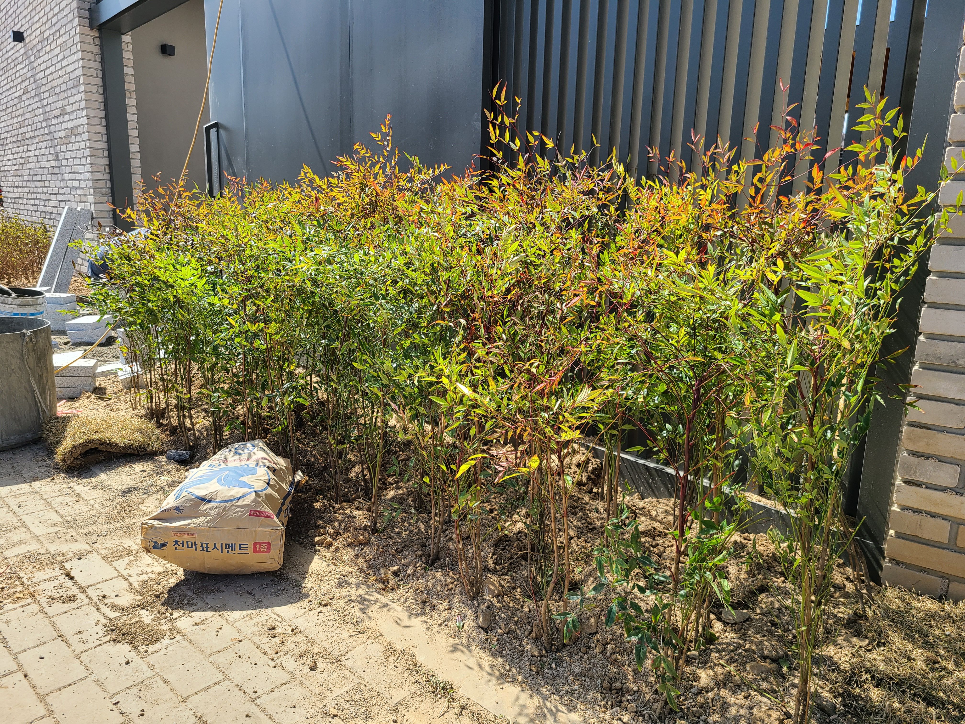 마당에 틀밭을 만들어서 텃밭을 관리하고 있는 모습