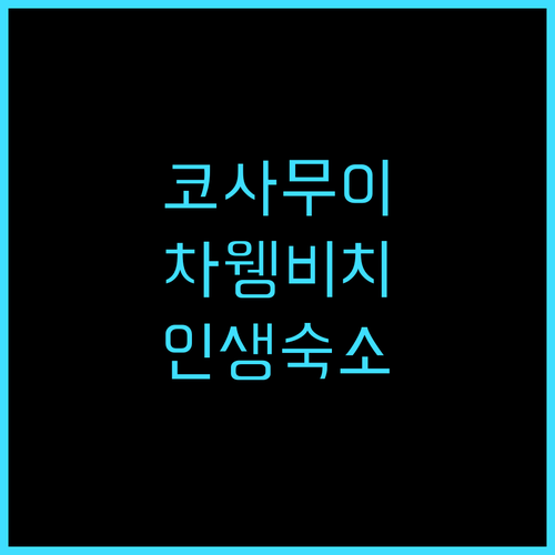 럽 디 코사무이 차웽 비치 생생 후기..
