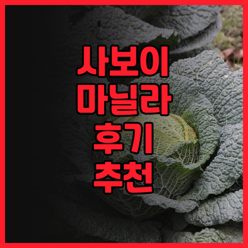 사보이 호텔 마닐라 후기 찐 추천! 