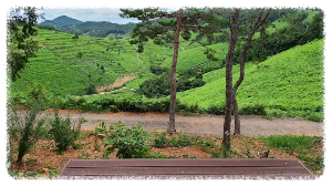 7월 가볼만한곳 10곳 남해군