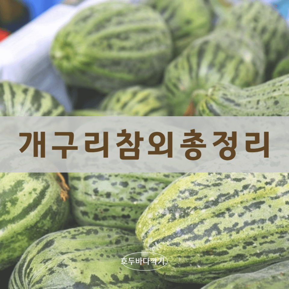 개구리-참외의-인기에-대한-사진
