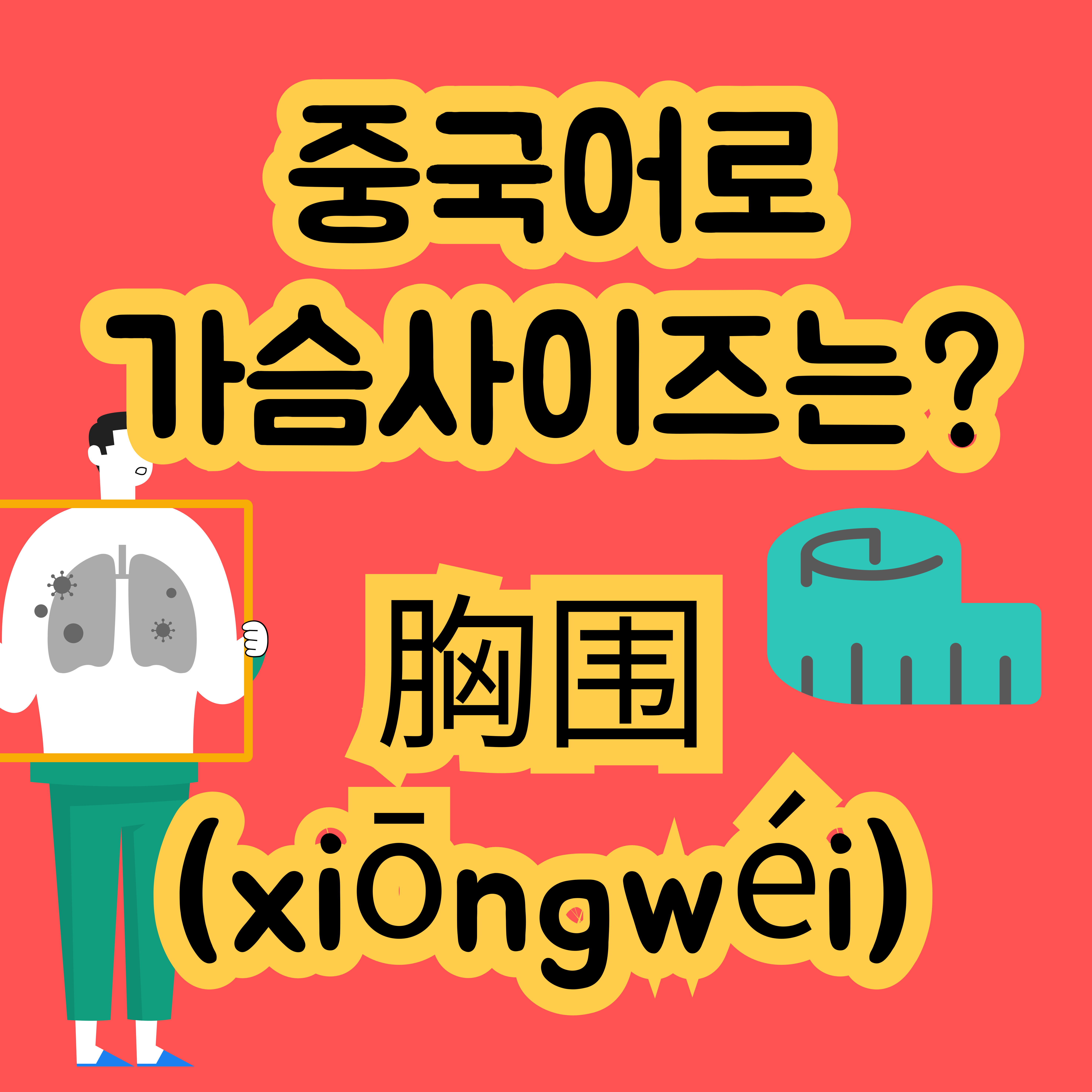 중국어로 가슴사이즈 胸围