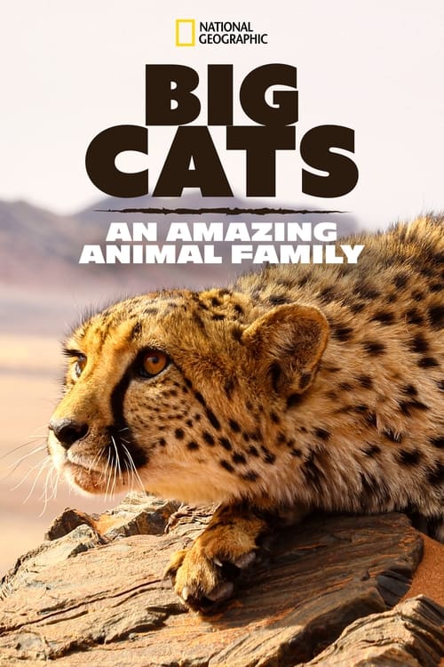 Big-Cats-포스터로-표범이-누워있는-모습