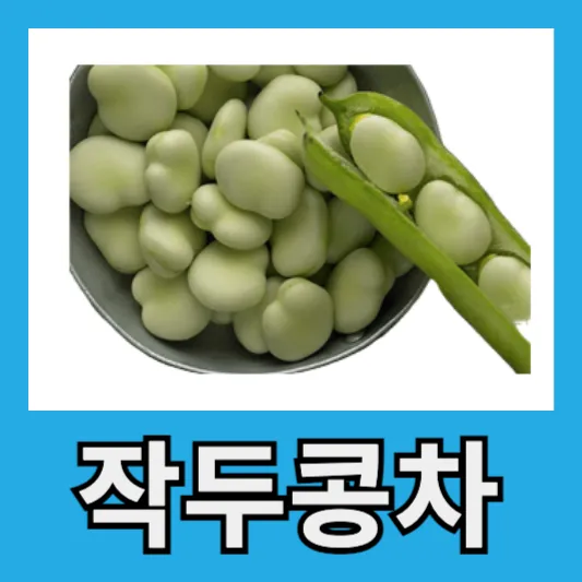 직장인 봄철 비염 작두콩차 효능 섭취방법 비염 물대신 먹는차