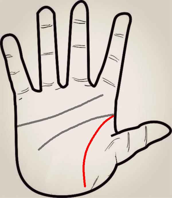 체력이 약한 손금