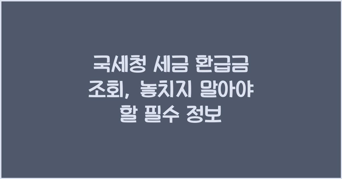 국세청 세금 환급금 조회