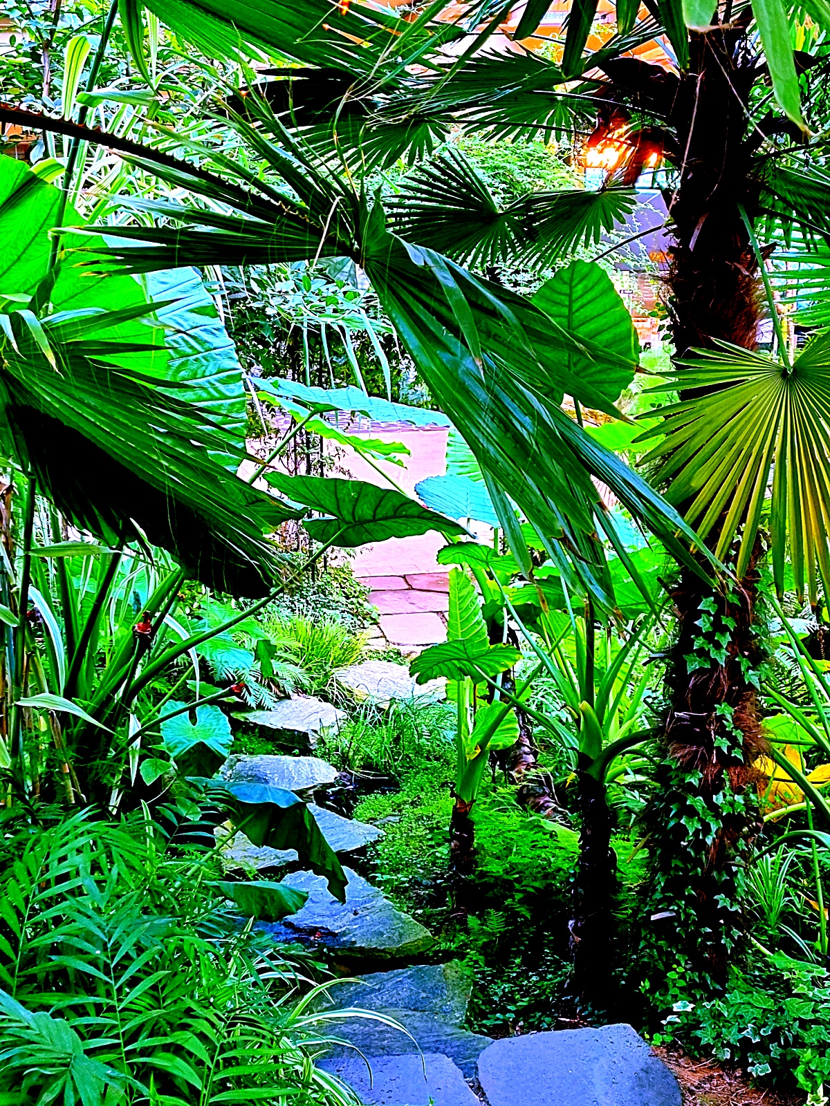 양주 오랑주리 카페: 자연 그대로 실내에 담은 대형 식물원 카페