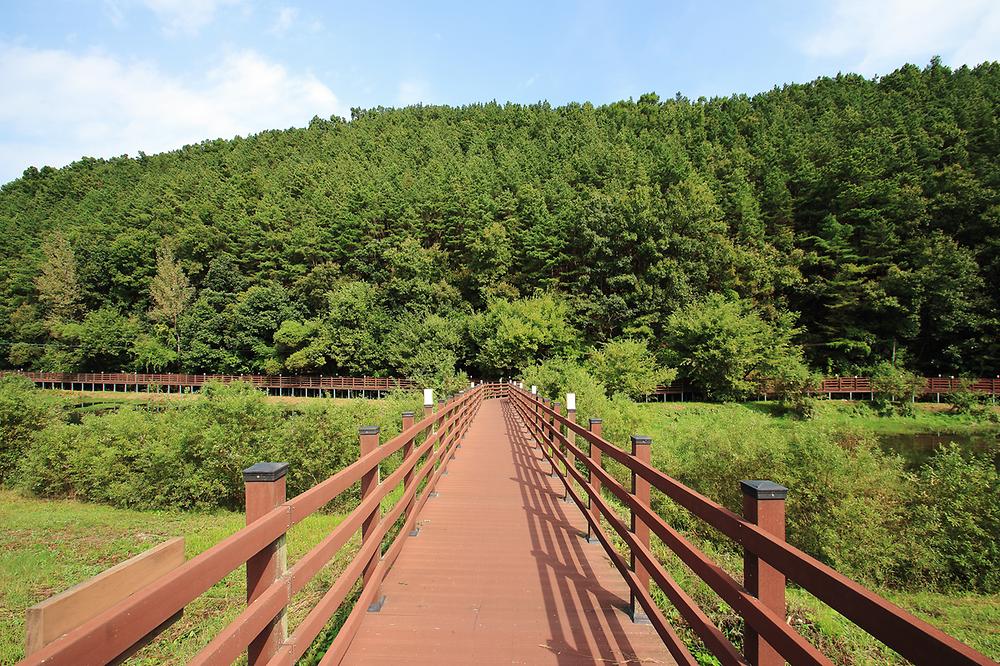 충청남도 금산군 인삼골오토캠핑장 소개