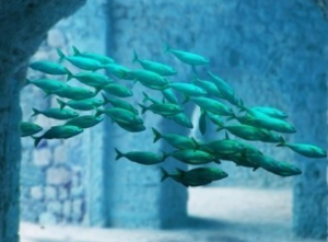 동물꿈,물건꿈,물꿈,구렁이,뱀꿈해몽 모음