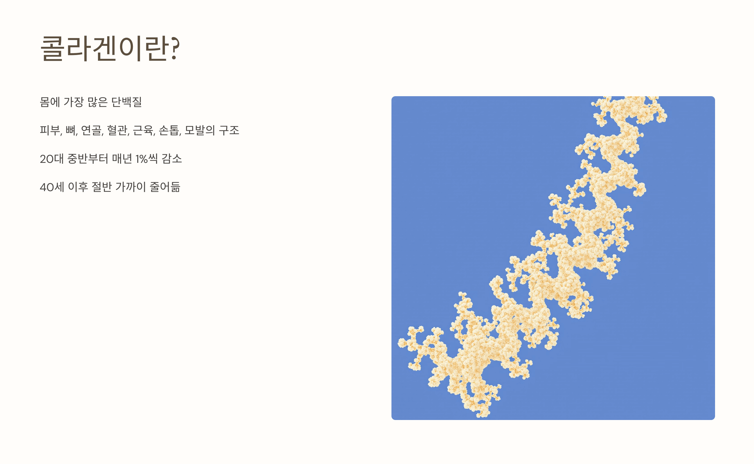 콜라겐 관련 사진입니다.