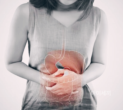 남우현 기스트암