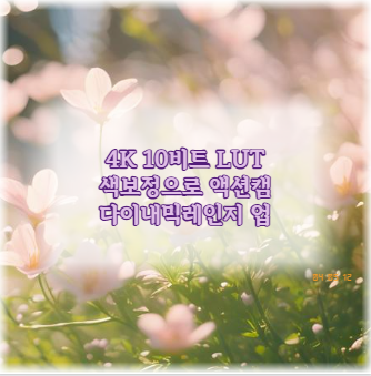 4K 10비트 LUT 색보정으로 액션캠 다이내믹레인지 업