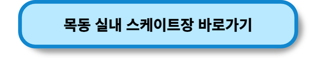 서울의 스케이트장 (22)
