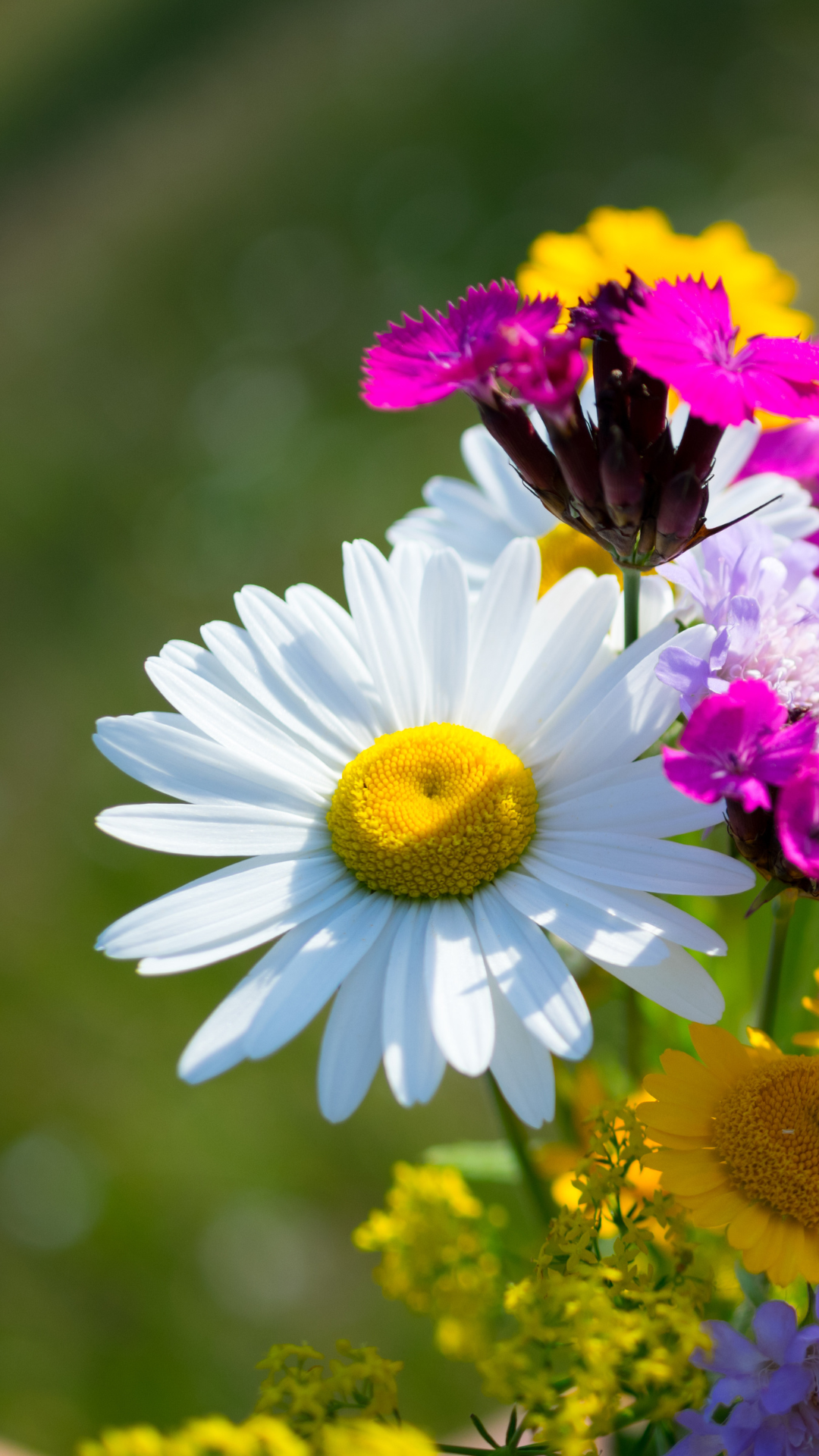 꽃 배경화면 사진 고화질 이미지 스마트폰