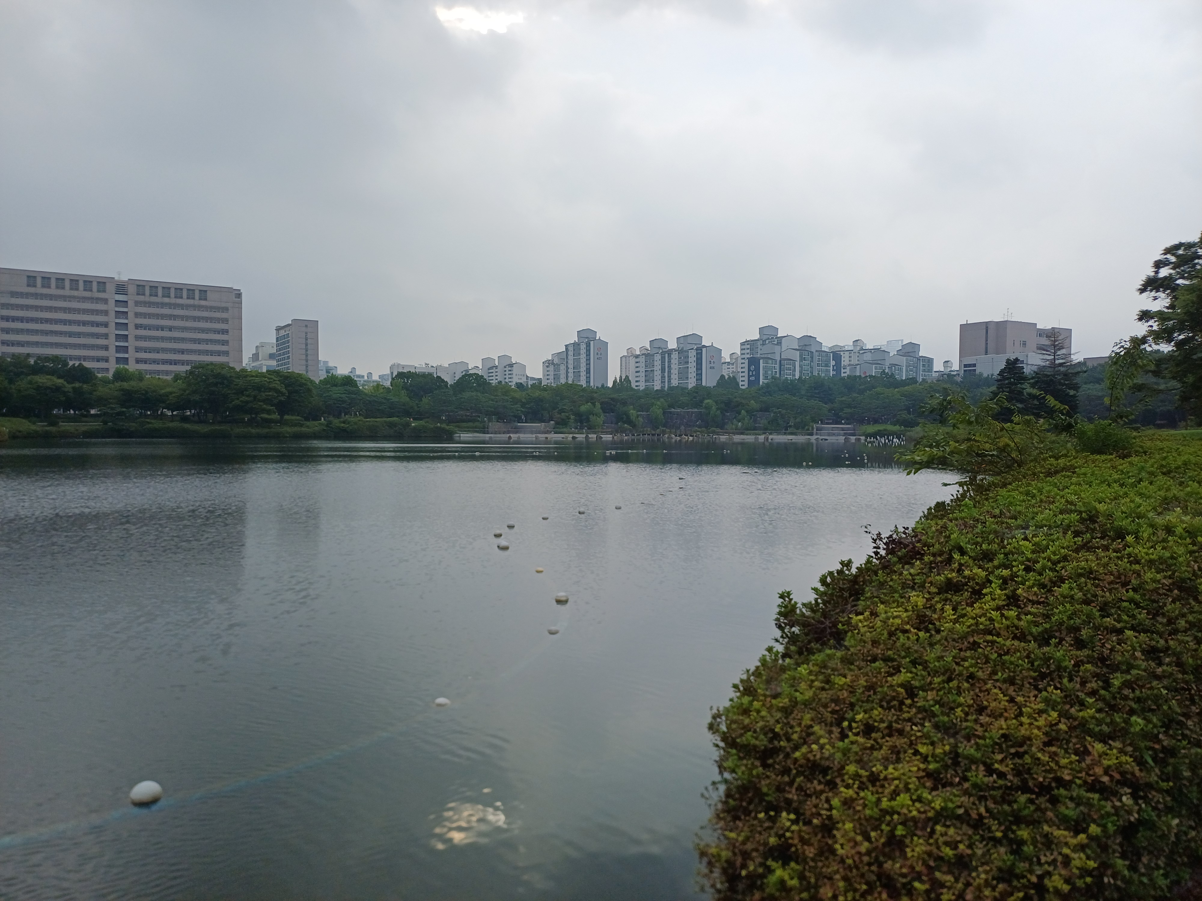 "일산호수공원 호수변 직선길을 천천히 걷는 초보, 10분 후 U턴 계획"