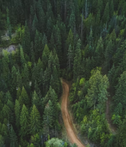 62년생 국민연금 수령나이 수령시기