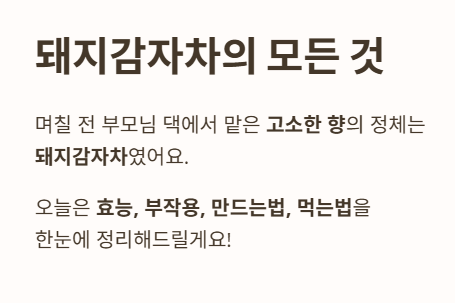 돼지감자차의 모든 것