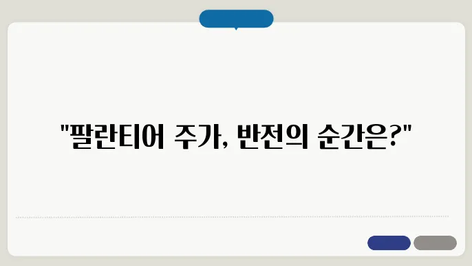 팔란티어 테크놀로지 주식 전망