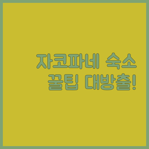 자코파네 여행 필수 정보! 숙소 선택