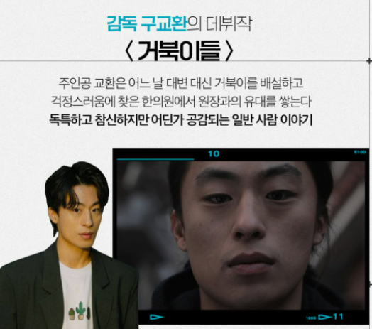 구교환 영화 "거북이" 줄거리, 거북이 상징, 문화적 의의와 예술적 비전, 테마의 진화!