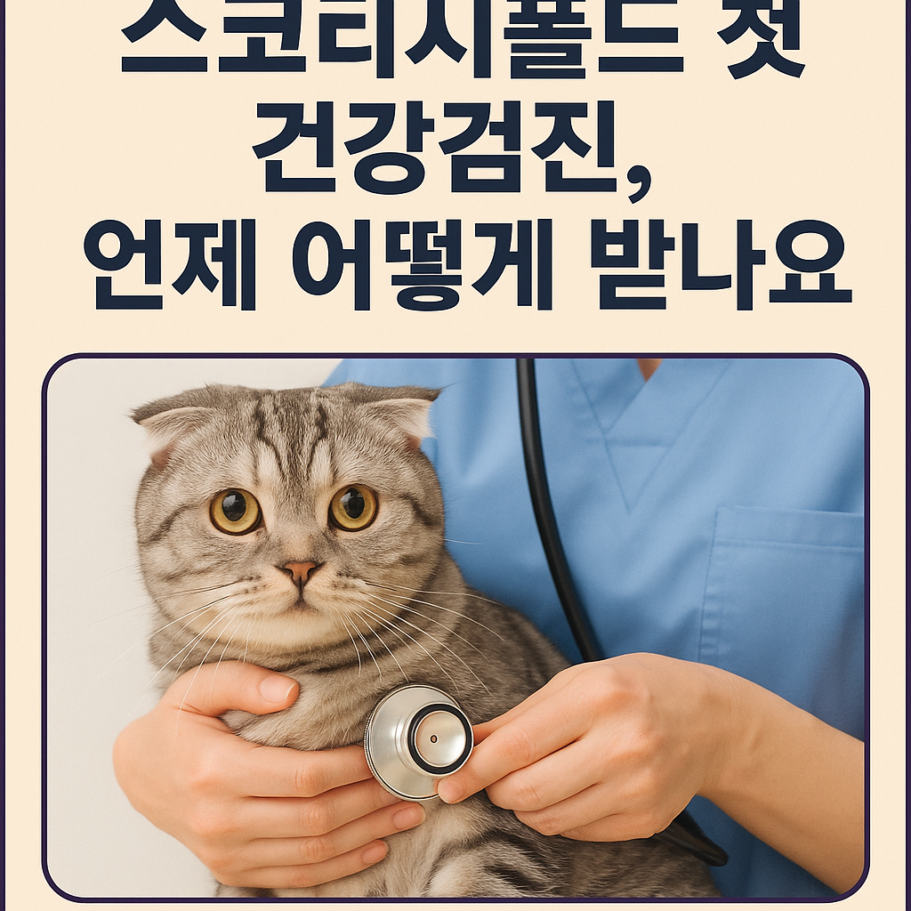 스코티시폴드
