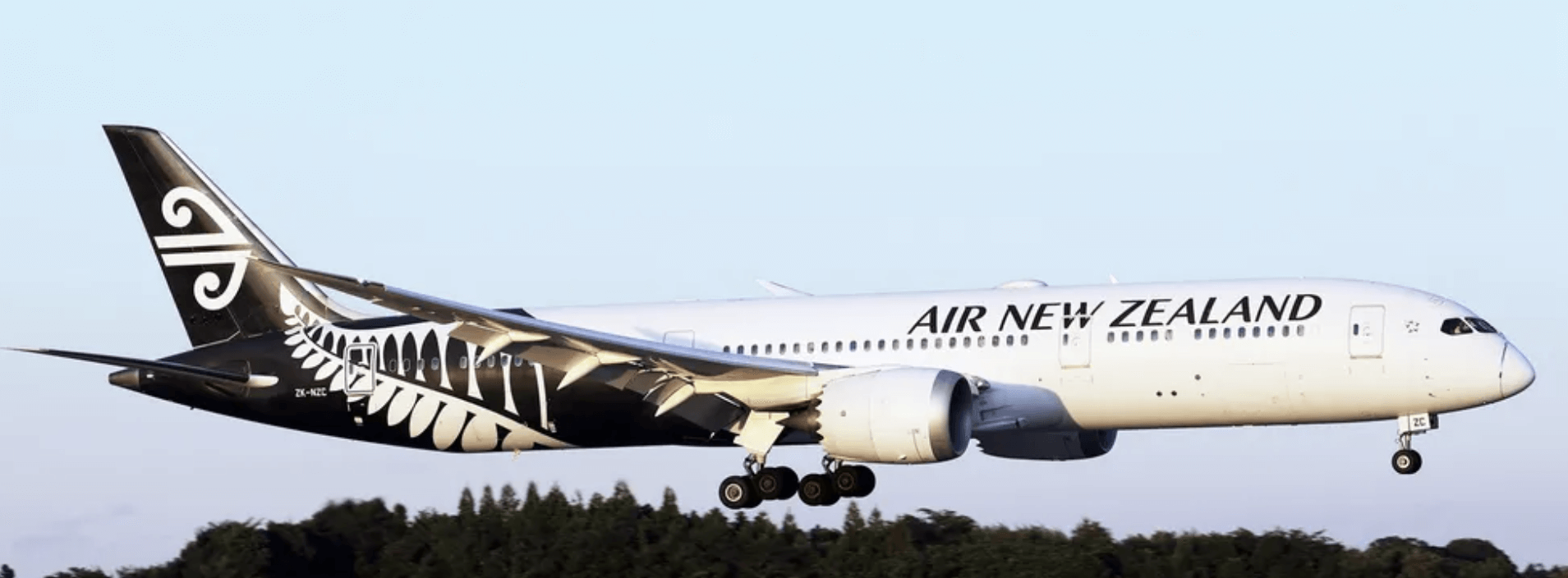 보잉 787 드림라이너