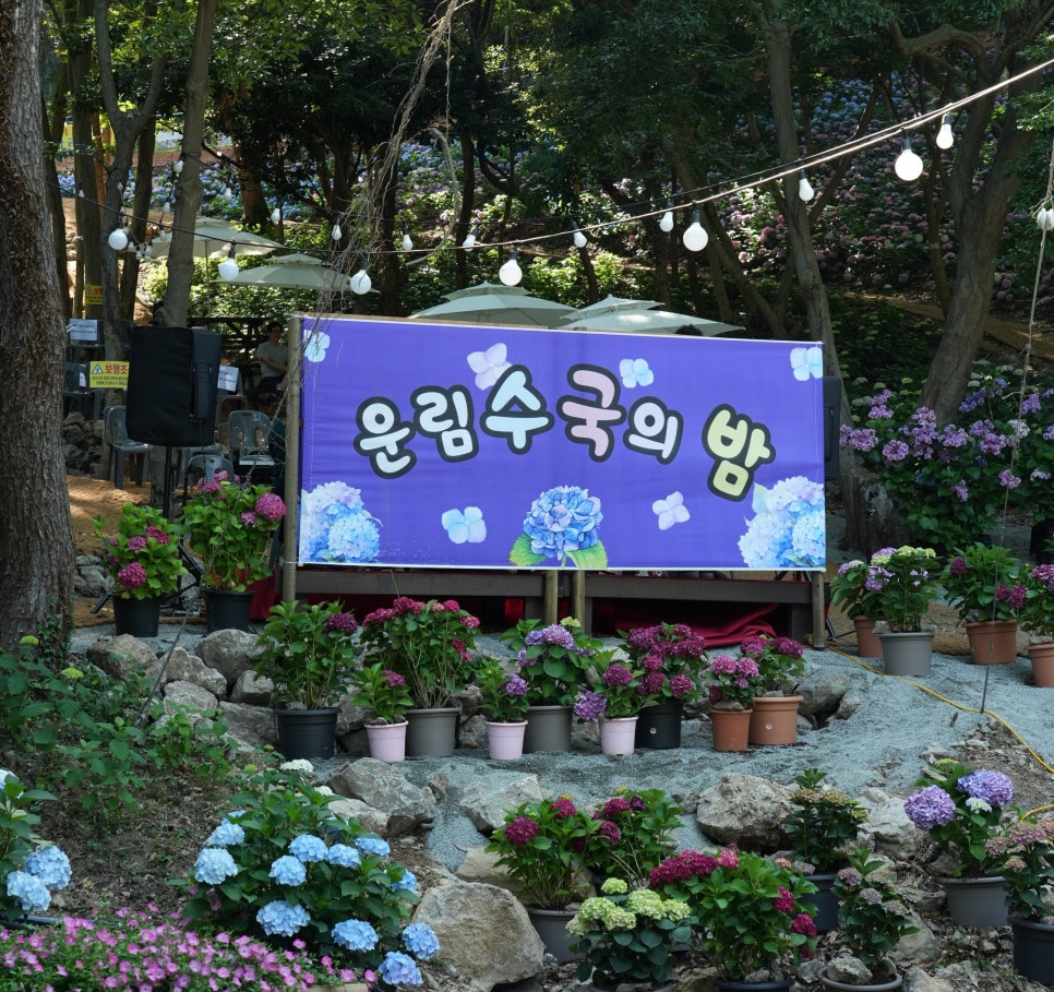 운림수국공원 야간