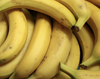 이명 치료 방법 30