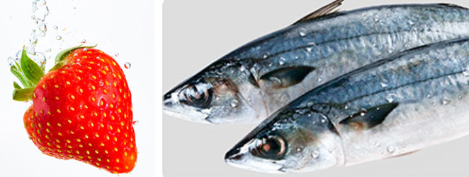 고지혈증-좋은음식