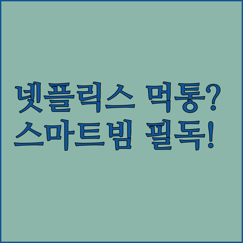 빔프로젝터 넷플릭스 화면 안나옴 현상..