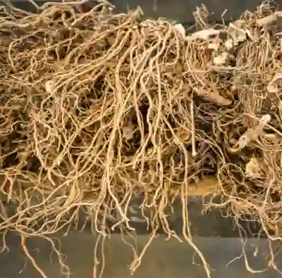 우슬뿌리 부작용, 효능, 먹는방법