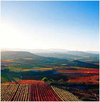 스페인 전통주 리오하 역사 지리 문화 품격 있는 술_13