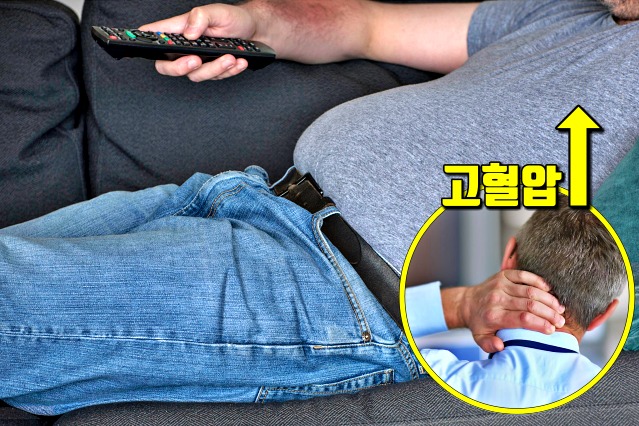 뱃살 내장지방 확인,팁줌