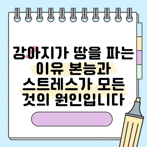 강아지가 땅을 파는 이유 본능과 스트레스가 모든 것의 원인입니다