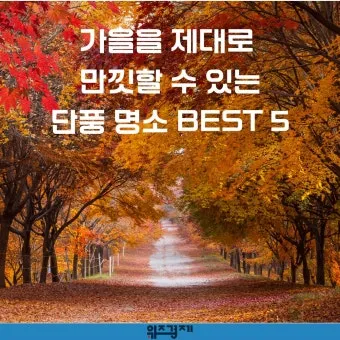 가을 단풍 명소 대중교통 걷기 코스 무료주차 팁_10