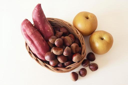 계절의 변화를 세분화한 24 절기 중 &amp;#39;백로&amp;#39; 이해하기