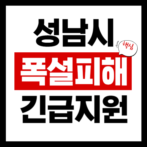 성남시 폭설피해 긴급보상지원금